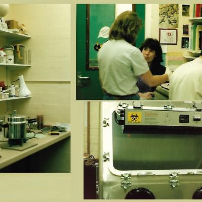 Auditoria Laboratorio