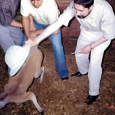 Canguro Registro Microchip