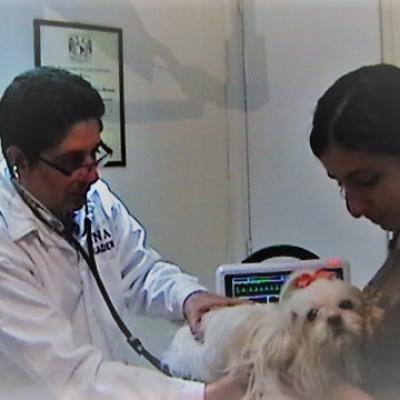 Revision Signos Vitales